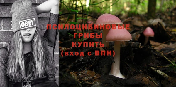 винт Алексеевка