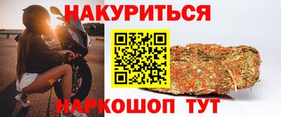 амф Майкоп