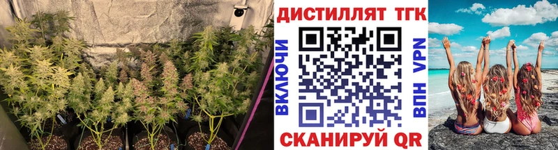 наркотики  Томск  ОМГ ОМГ онион  ТГК вейп 