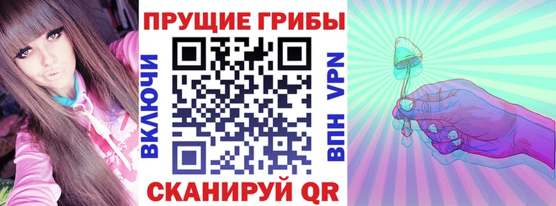 Псилоцибиновые грибы Cubensis  купить наркотик  Томск 