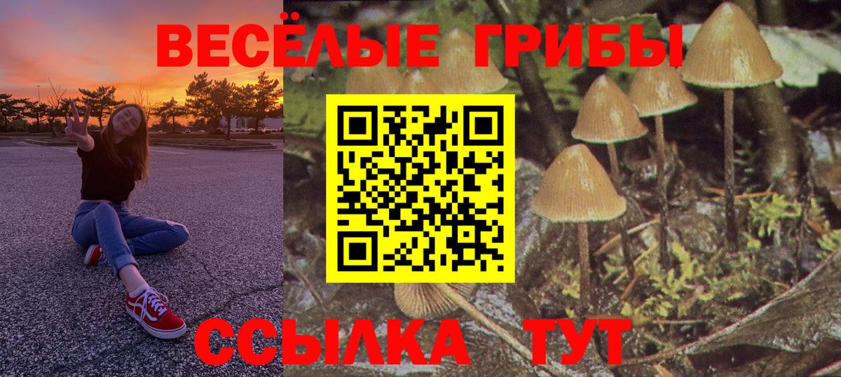 Псилоцибиновые грибы Psilocybe  Вход с VPN  Томск  Галлюциногенные грибы GOLDEN TEACHER 