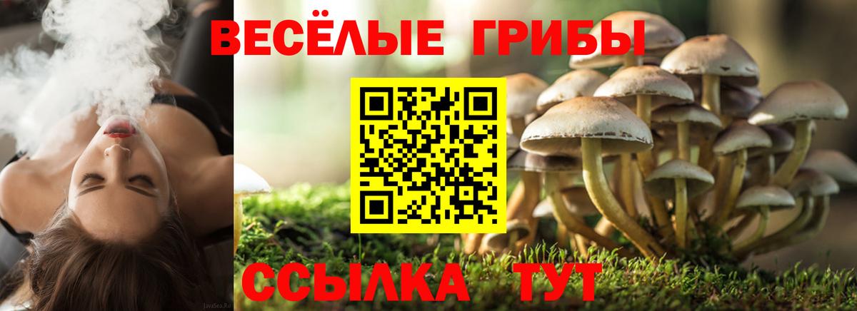 Cocaine Томск